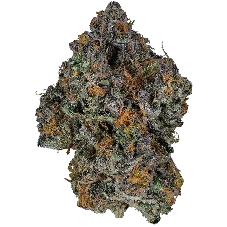 The Station - Close up image of a strain of a Hybrid cannabis bud