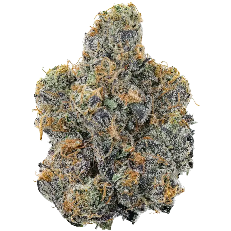 The Station - Close up image of a strain of Indica cannabis bud