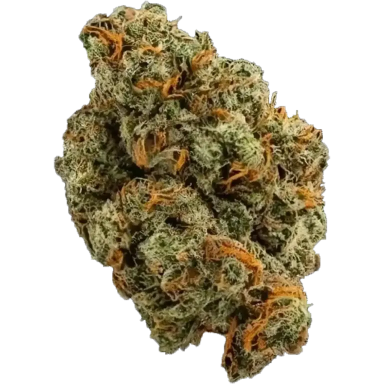 The Station - Close up image of a strain of Sativa cannabis bud