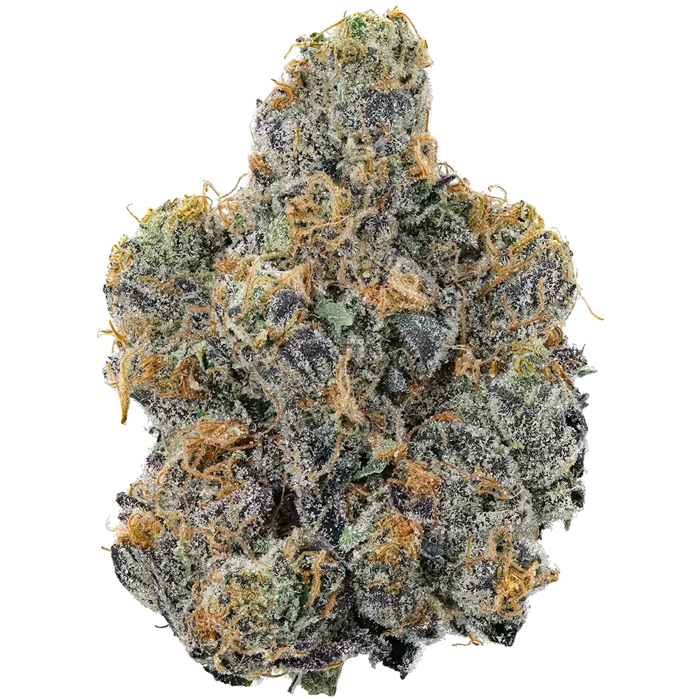 The Station - Close up image of a strain of Indica cannabis bud